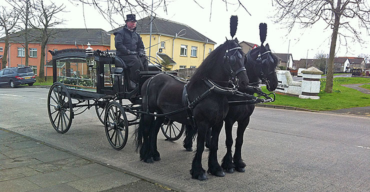 Glenanne Carriage Hire Funeral Carriage