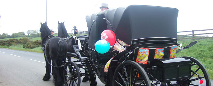 Glenanne Carriage Hire Special Occasions