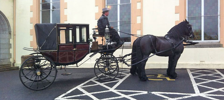 Glenanne Carriage Hire Wedding Carriage